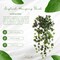 2-Pack English Hanging Bush - 19" Lush Faux Greenery with Silk Leaves for Home & Garden Decor by Floral Home®